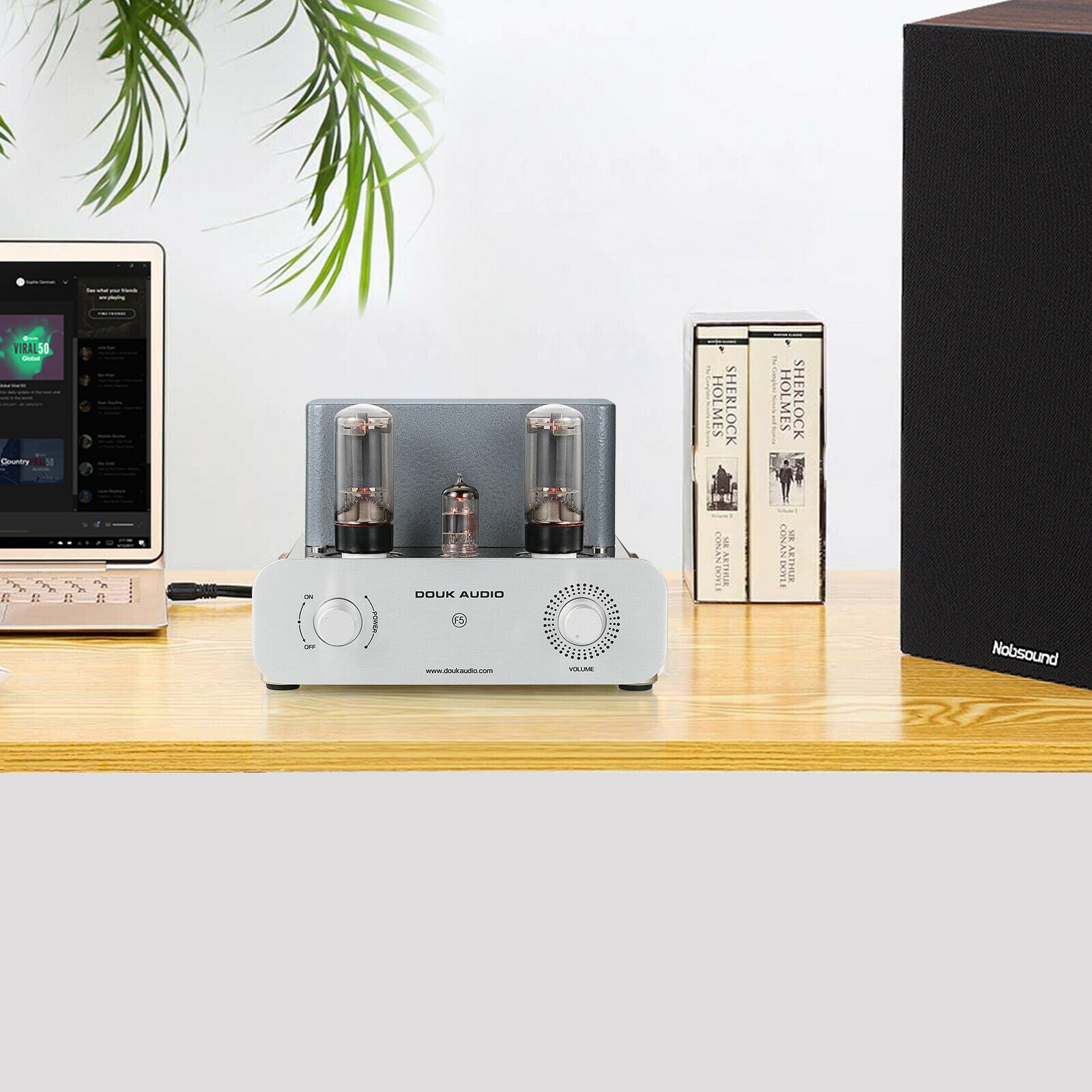 Douk Audio F5 HiFi-Vakuumröhrenverstärker, reiner Klasse-A-Single-Ended-Stereo-Audioverstärker