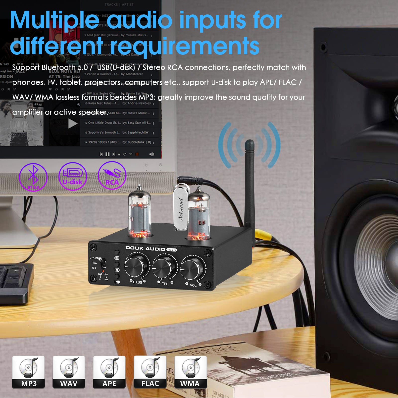 Douk Audio P6 MINI HiFi Vacuum Tube Preamp Bluetooth Stereo Audio Pre-amplifier Tone Control